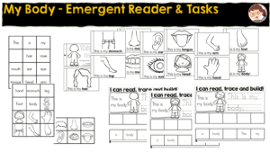 My Body Parts activities for PreK 