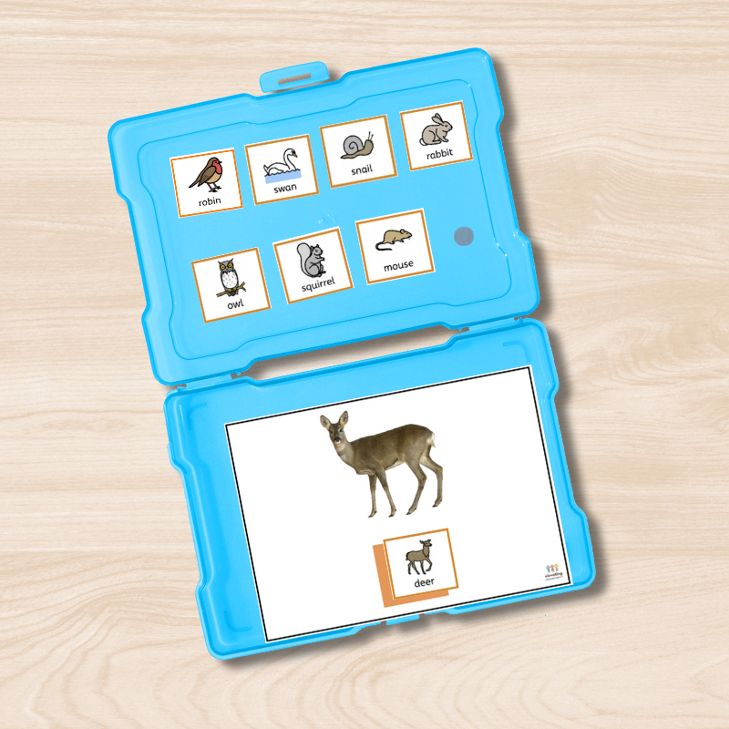 Teaching WHO in Colourful Semantics using visual supports

